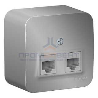 Розетка 2-ая компьютерная RJ45 кат.5E Blanca Schneider Electric алюминий изол.пластина