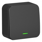Переключатель 1-клавишный с подсветкой (cх.6) Blanca Schneider Electric 10А 250В антрацит и.пластина